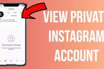 Cara Melihat Instagram yang Di Private 