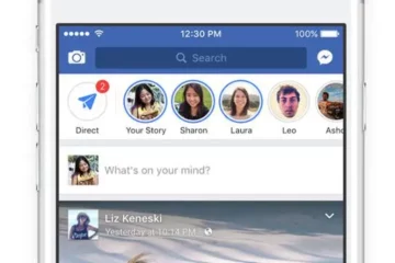 Pemirsa Lainnya di Story FB
