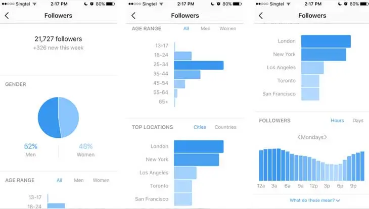 Dashboard analisis profil Instagram